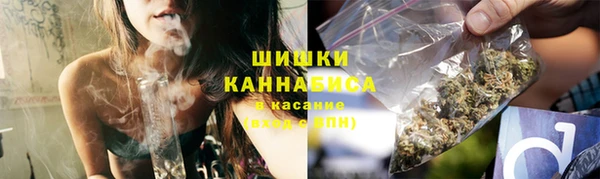 индика Коряжма