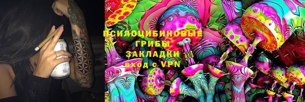 индика Коряжма