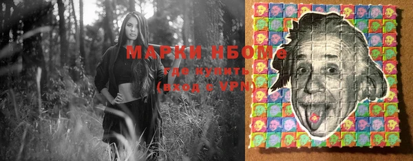 индика Коряжма
