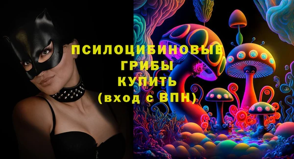 индика Коряжма