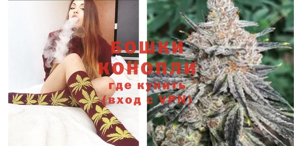 индика Коряжма