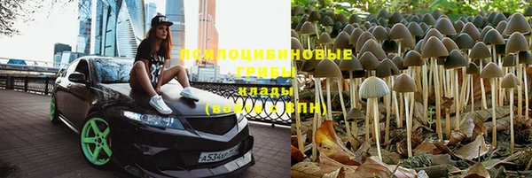 прущая мука Краснослободск