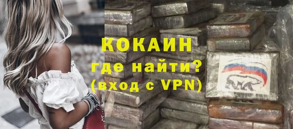 индика Коряжма