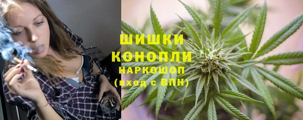 индика Коряжма