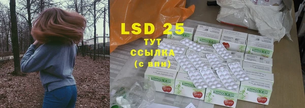 индика Коряжма