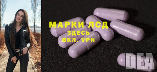 индика Коряжма