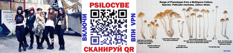 Галлюциногенные грибы Psilocybine cubensis  Купить закладки  Люберцы 